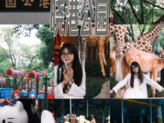 -晓港公园