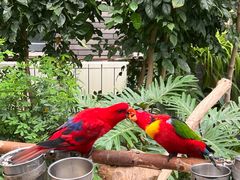 -南宫五洲植物乐园