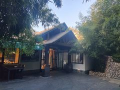 -清雅臻品·竹林院落·新派青岛菜(崂山店)
