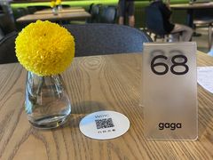 -gaga(深圳南山益田假日广场店)