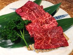 特上等横隔膜-炼火烤肉店
