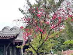 -三苏祠