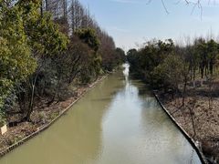 -上海长兴岛郊野公园