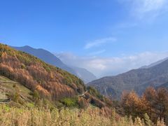 -卧龙自然保护区
