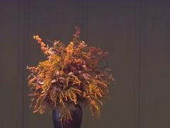 -佘山世茂艾美·御珍轩中餐厅