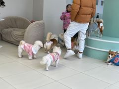 -怪兽屋·羊驼·猫咖·狗咖(俊华广场店)