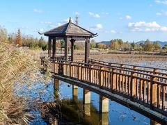 -羊亭河湿地公园