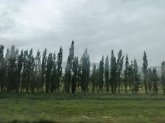 -新疆那拉提国家旅游度假区