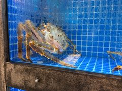 -连鹭海鲜·海肠捞饭·海胆饭(星海店)