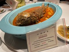 -阿五黄河大鲤鱼(英协路店)