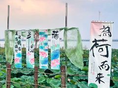 -七的湖·晚芳亭·阳澄湖农家菜·大闸蟹(莲花岛店)