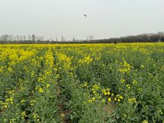 -汉长安城未央宫国家考古遗址公园