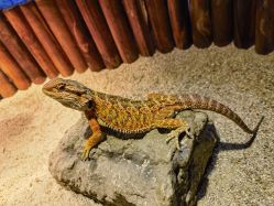 -酷嗒动物文化乐园(cutezoo西溪乐天城店)