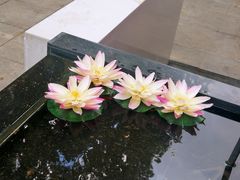-将相和·海鲜蒸饺大连菜