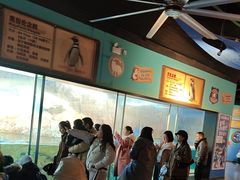 -海合安武汉极地海洋公园
