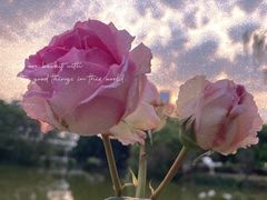 -人民公园(罗湖区)