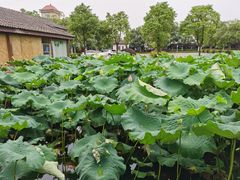 -千龙湖生态旅游度假区