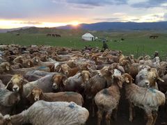 -新疆天山野生动物园
