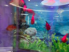 -雅悦齿科(顾村公园店)