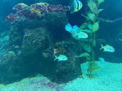 -鸿通城购物中心