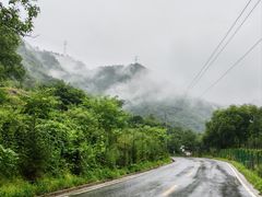 -朱雀国家森林公园