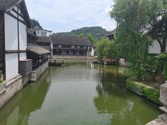 -鲁镇