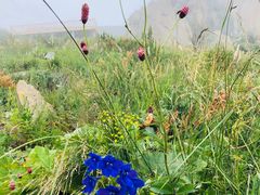 -白草畔自然风景区