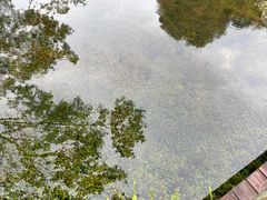 -靖西鹅泉风景区