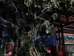 -贵州省博物馆(新馆)