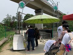 -秀丽东方