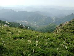 -白草畔自然风景区