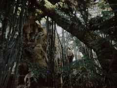 -龙达温泉生态城