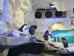 -华夏文旅海洋公园