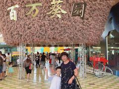 -百万葵园