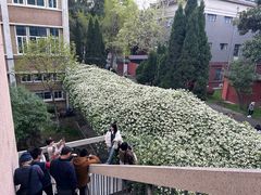-四川大学(望江校区)