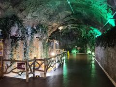 -青岛葡萄酒博物馆