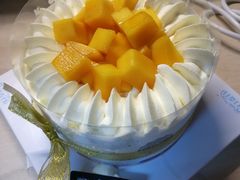 -维尔纳斯·生日蛋糕·动物奶油冰淇淋蛋糕(六里桥店)