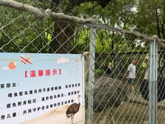 -长白岛森林公园