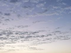 -北岐滩涂