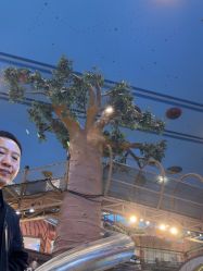 -卡通尼·Safari非洲探索乐园·生日会(金桥国际商业广场店)