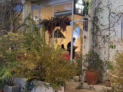 -春树下·树屋花房西餐厅(罍街AS1980店)