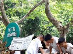 -成都动物园