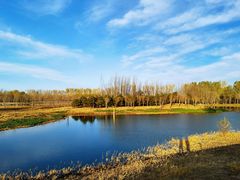 -东郊湿地公园