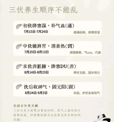 -帝迈造型