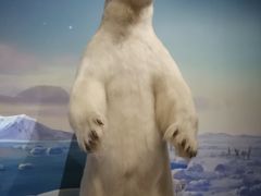 -陕西自然博物馆