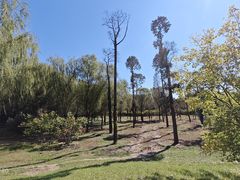 -永定河休闲森林公园