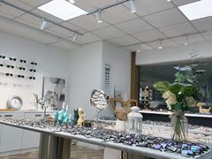 -大视家眼镜(园区星海店)