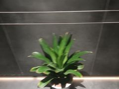 -天禧影院式足道·SPA(梅林店)
