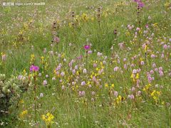 -桂林资江天门山风景区