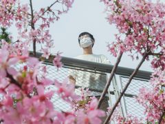 -狐尾山公园